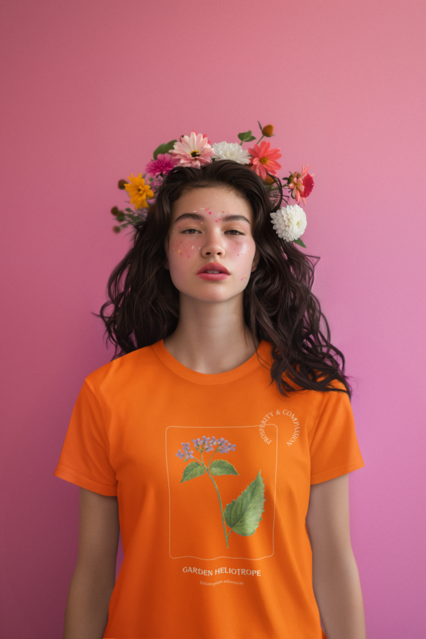 Minimalist Design